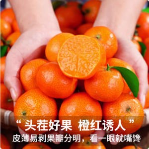 正宗广西砂糖橘10水果新鲜当季橘子整箱斤纯甜金秋沙糖桔非无籽