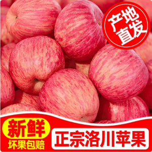 正宗陕西洛川苹果新鲜水果红富士当季整箱应季时令冰糖心产地直发