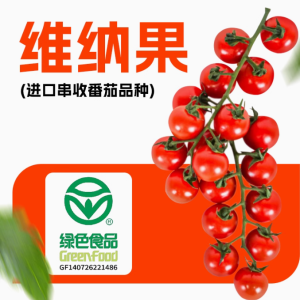 小番茄新鲜西红柿维纳果