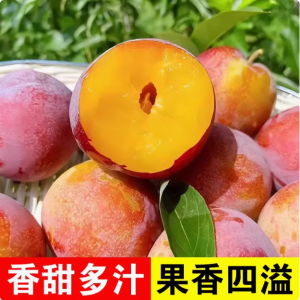 东北大红袍李子新鲜水果干核黄心脱骨应季孕妇水果5斤装整箱包邮