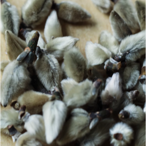 高山特级正宗辛夷毛桃天然无硫中药材通鼻香料卤料木笔老品种辛夷