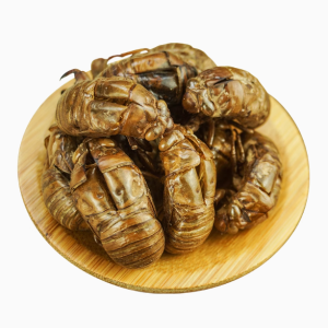 蝉蜕中药材100g 蝉蜕粉蝉退 金蝉衣 蝉壳知了皮 散装非500克野生